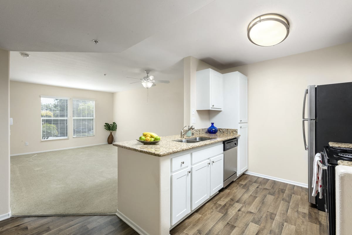 55+ Apartments for Rent Rancho Santa Margarita FountainGlen